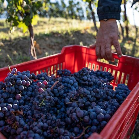 Agriturismo Antichi Poderi Gallina เนเว ภายนอก รูปภาพ